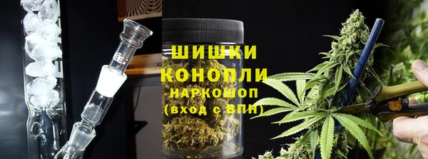 ECSTASY Алзамай